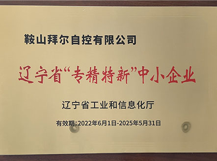 公司榮獲遼寧省“專精特新”中小企業(yè)稱號